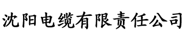 大香蕉伊人亚洲在线电缆厂logo